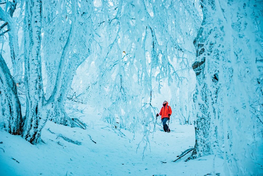 Photograph by Саша Козырев