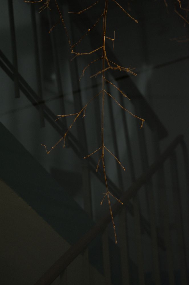 Photograph by Инна Лисовская