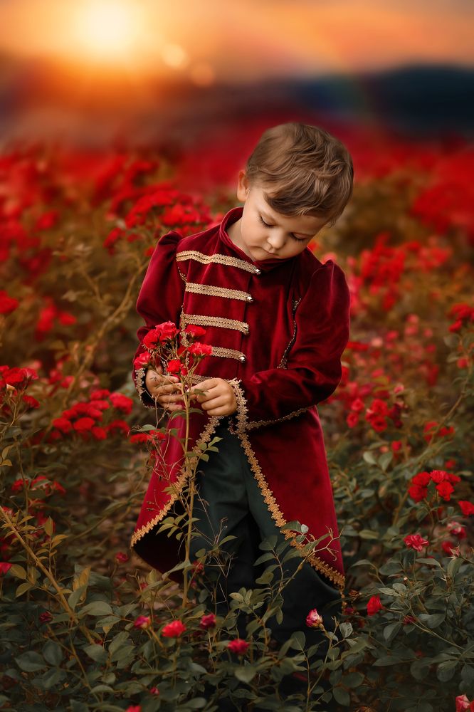 Фотография автора Justyna Engel