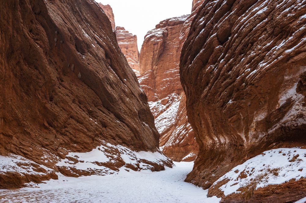 Photograph by JUAN SILVA