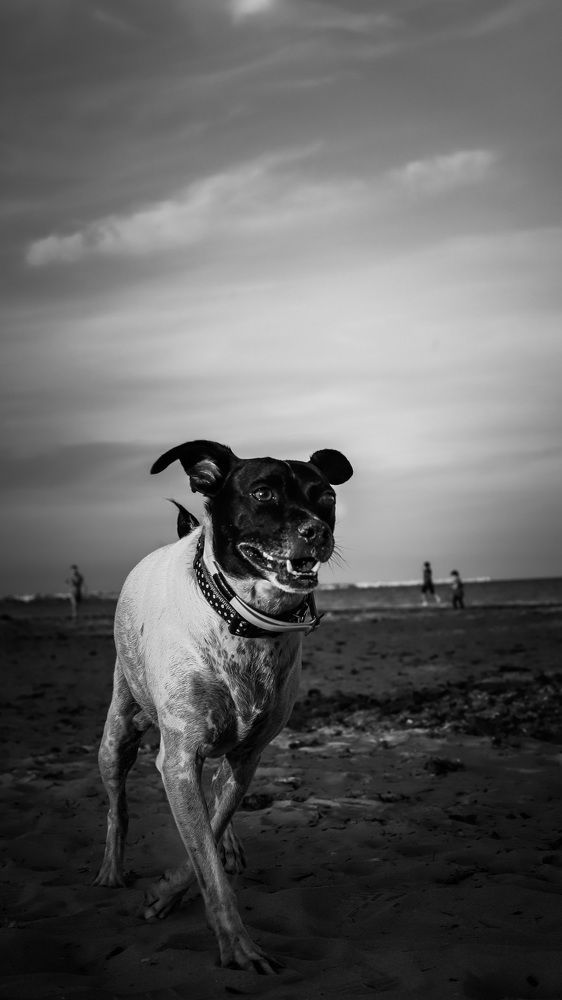 Photograph by Алена Синявская