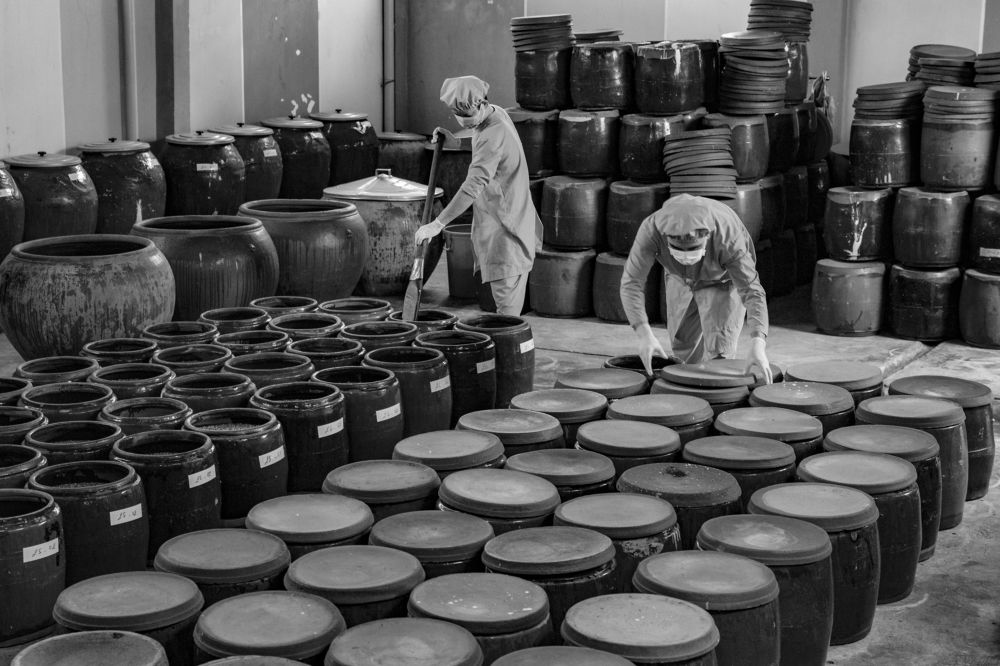 Photograph by Vũ Sơn Lâm