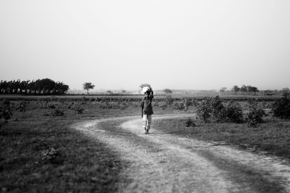 Photograph by Rakib Hasan Redoan