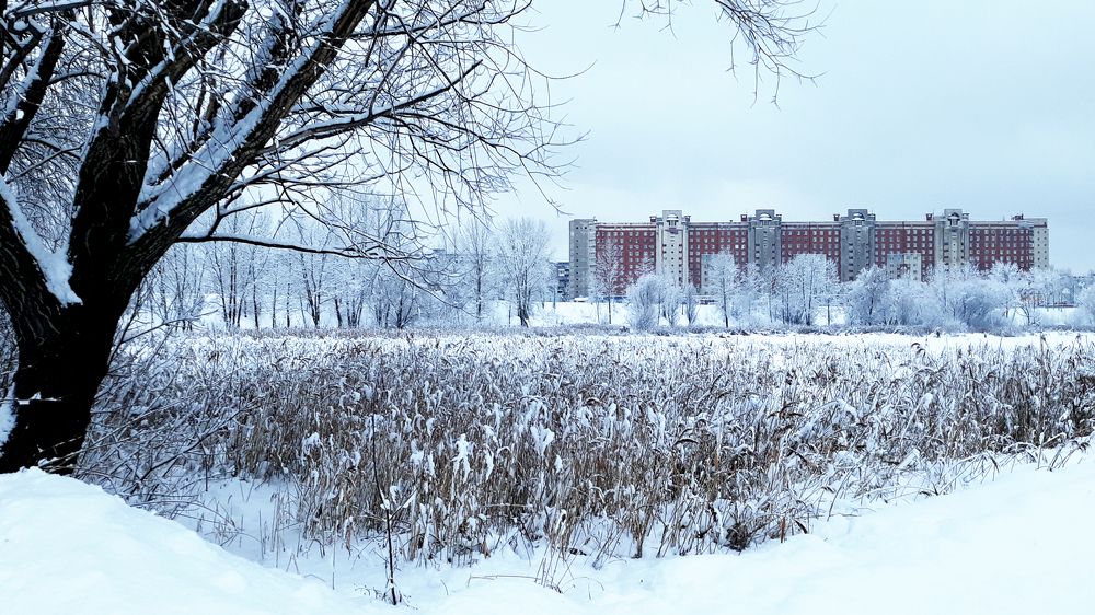 Photograph by Блюмина Елена