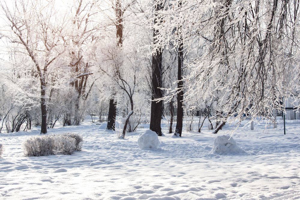 Фотография автора Кристина Догодька