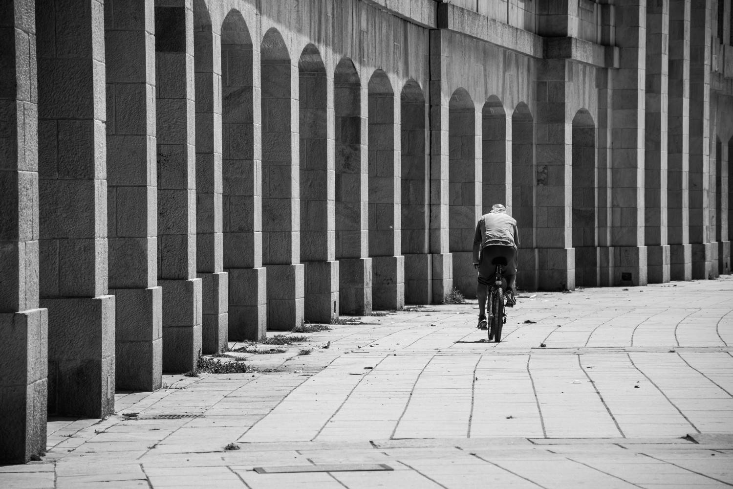 Photo #8563721