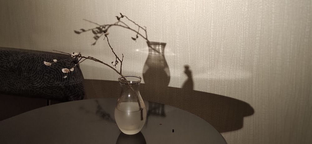 Photograph by Татьяна Проценко