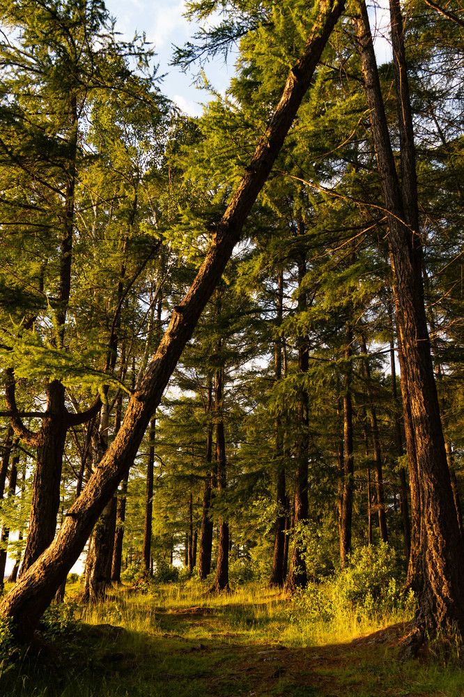 Фотография автора Марина Тирских