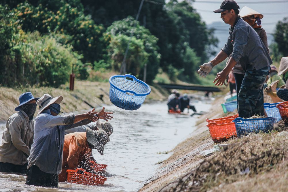 Photograph by Trinh Khoi Nguyen