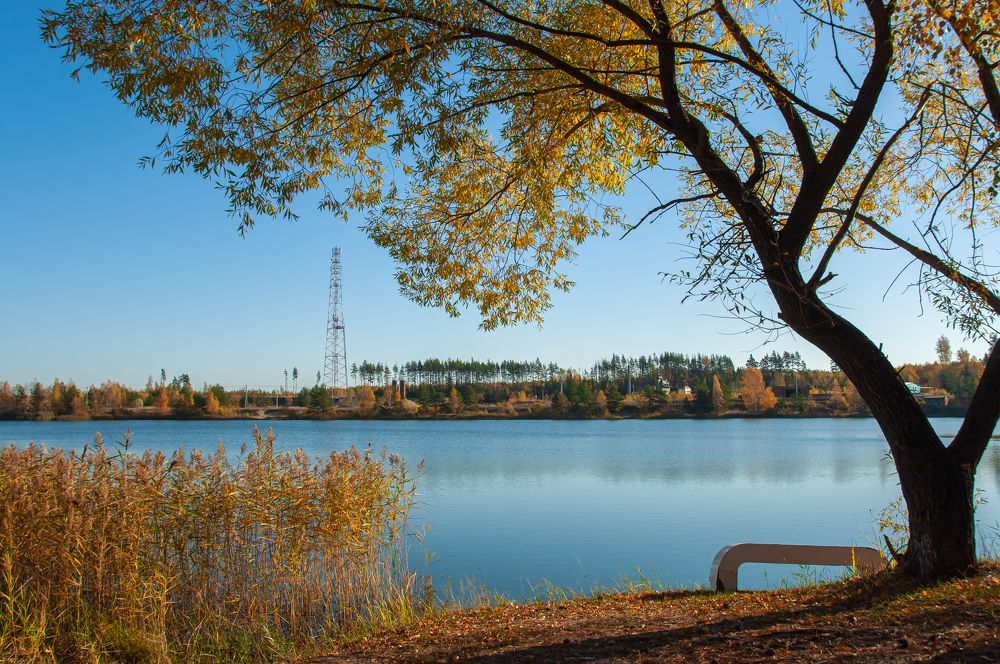 Photograph by Никита