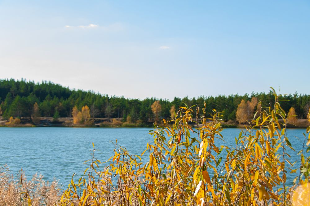 Photograph by Никита