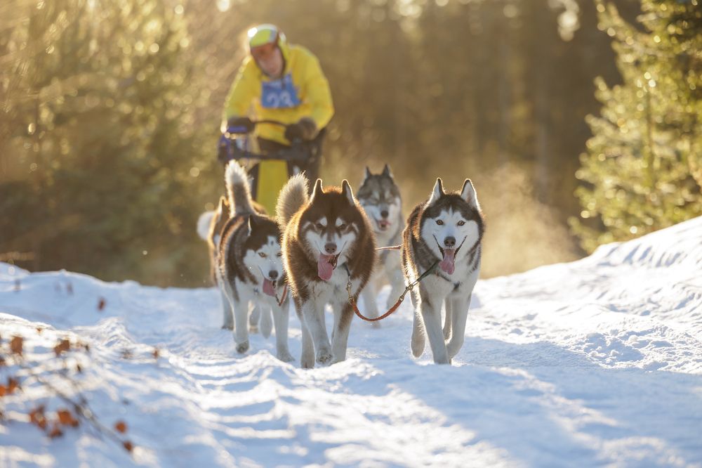 Photograph by Илья Юфа