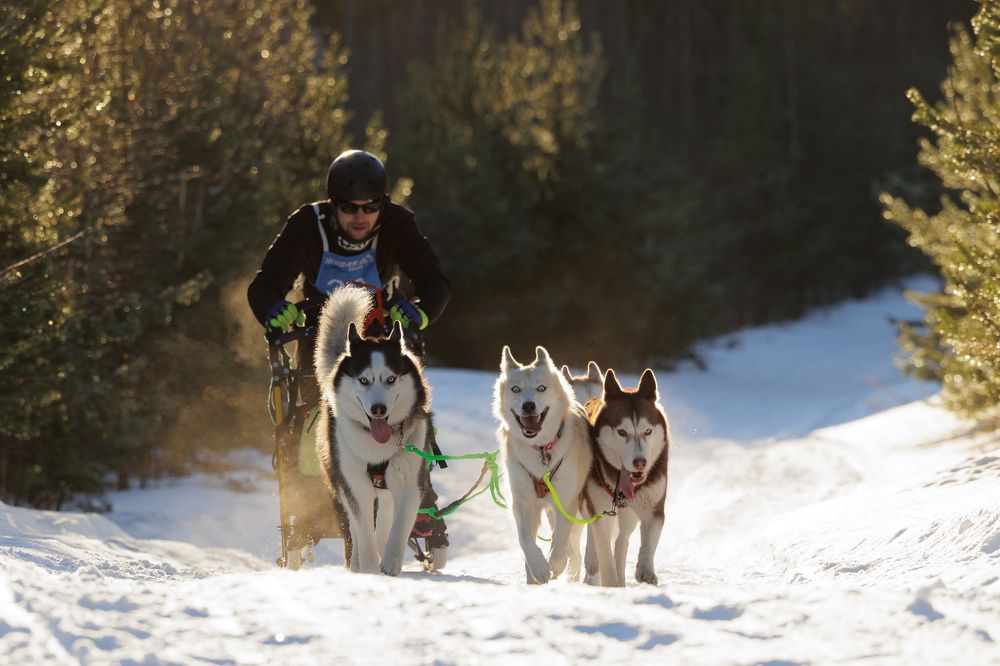 Photograph by Илья Юфа