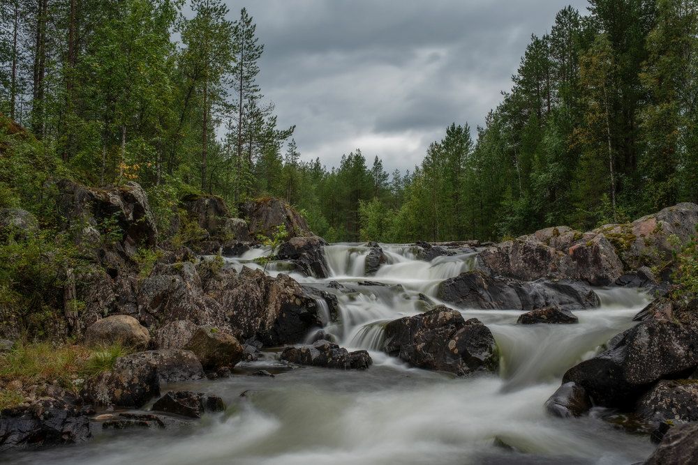 Photograph by Марина Зборацкая