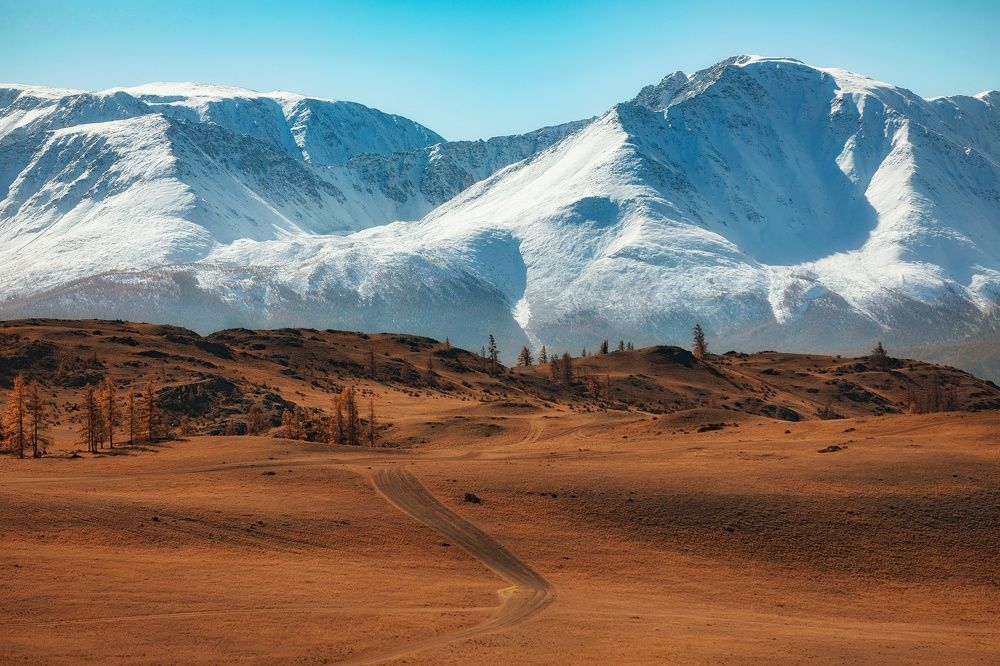 Дорога, ведущая вдаль