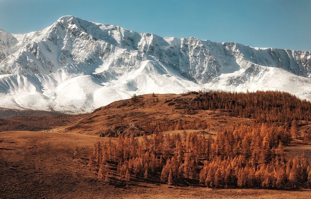 Вид на Белуху