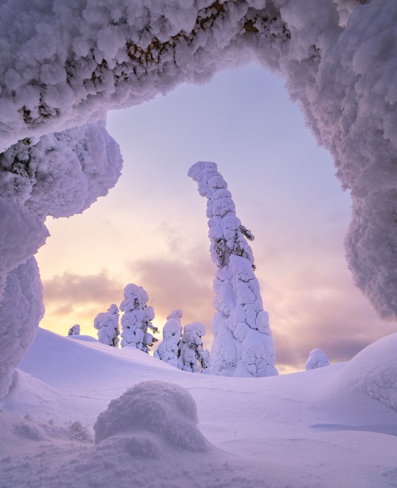 Photograph by Леонтьев Константин