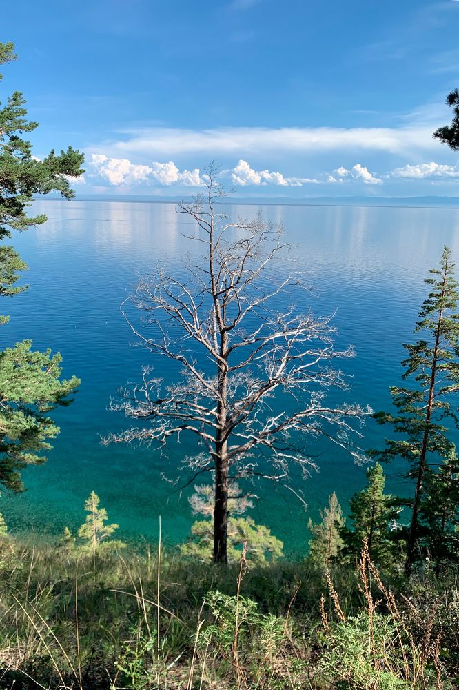 Фотография автора Марина Тирских