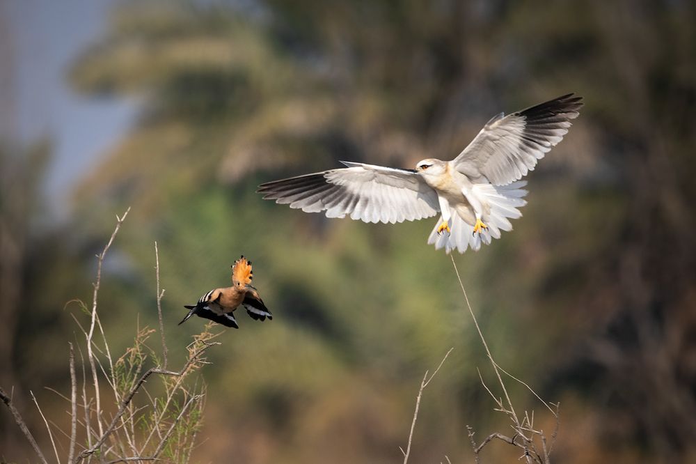 Photograph by Rozani Haniffa Thajudeen