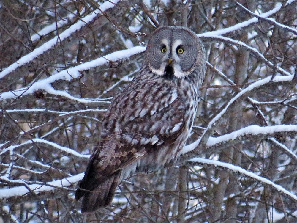 Photograph by Людмила Кононова