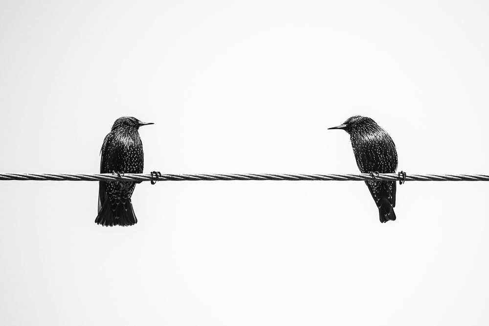 Photograph by Rozani Haniffa Thajudeen