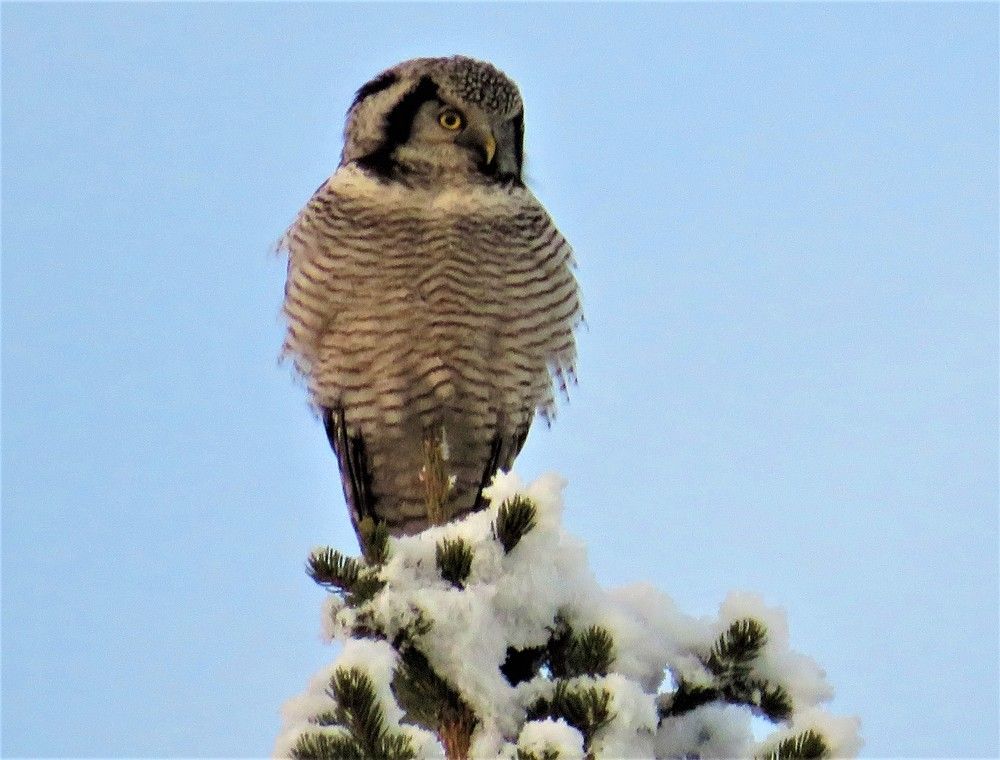 Photograph by Людмила Кононова