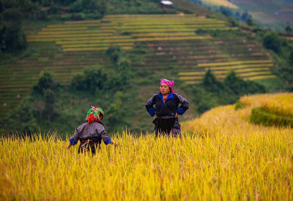 Photograph by Lien lai