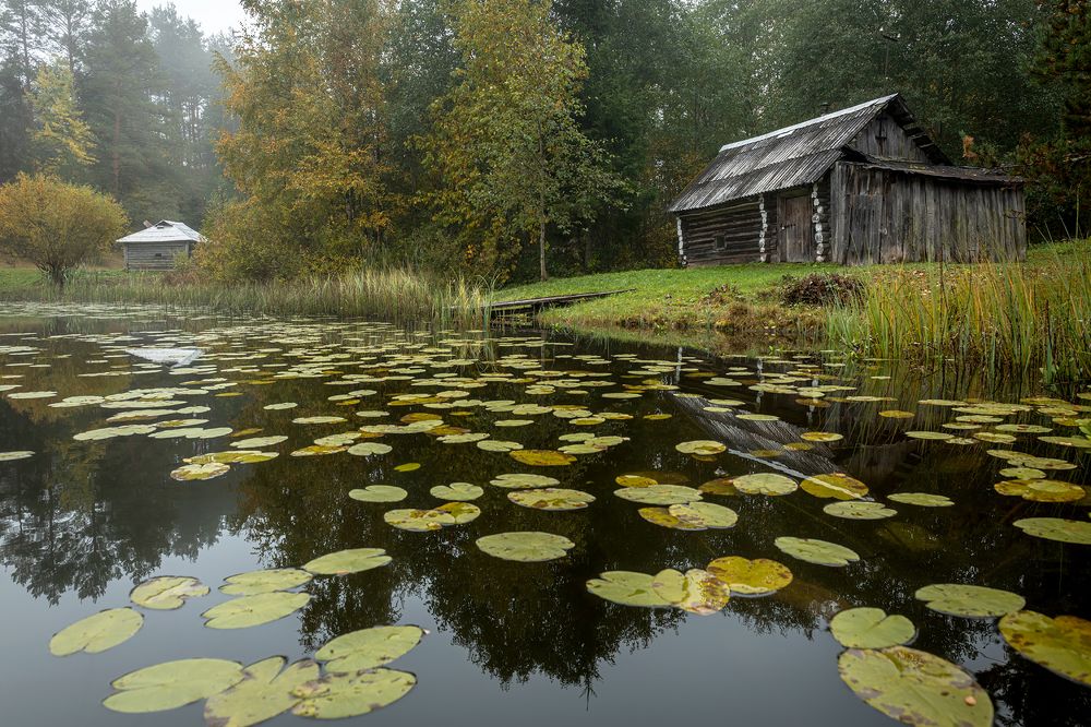 Photograph by Андрей Иванов