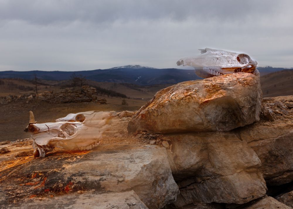 Photograph by Денис Дорошенко