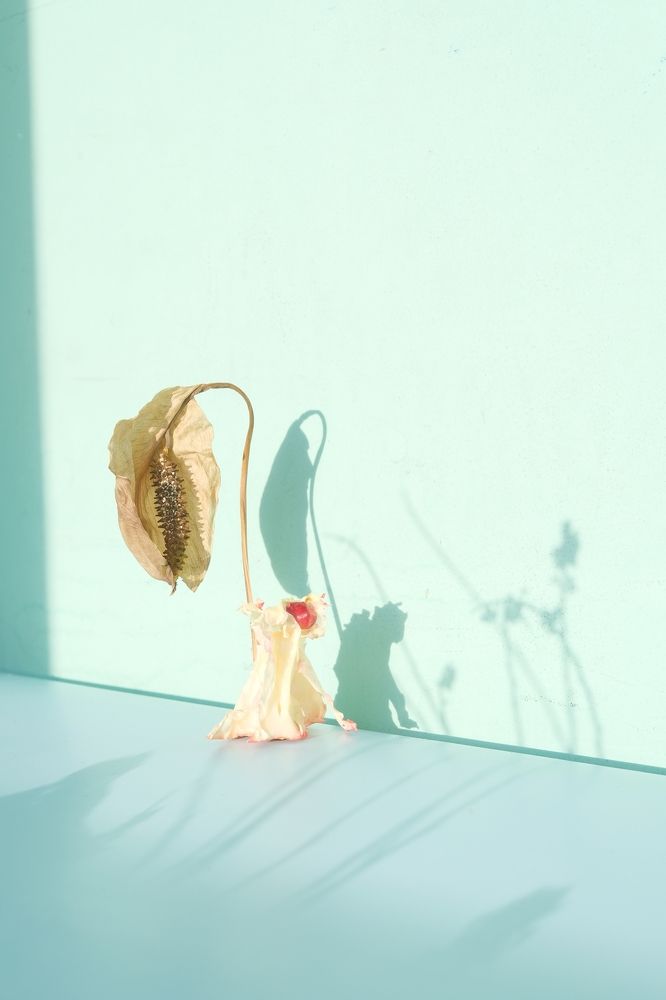 Photograph by Ирина Чиркина