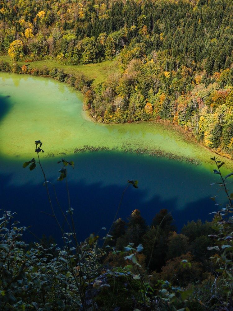 Photograph by Оксана Хабарова