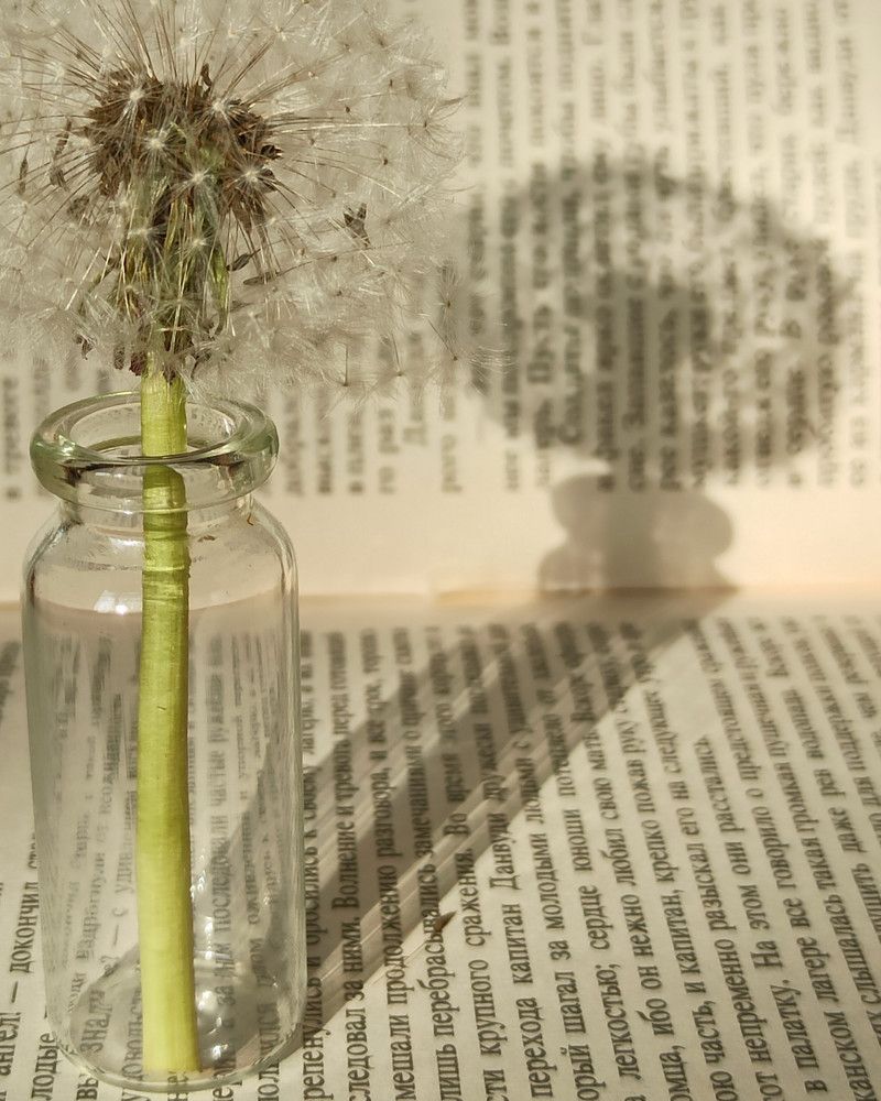 Photograph by Halina Mitsevich