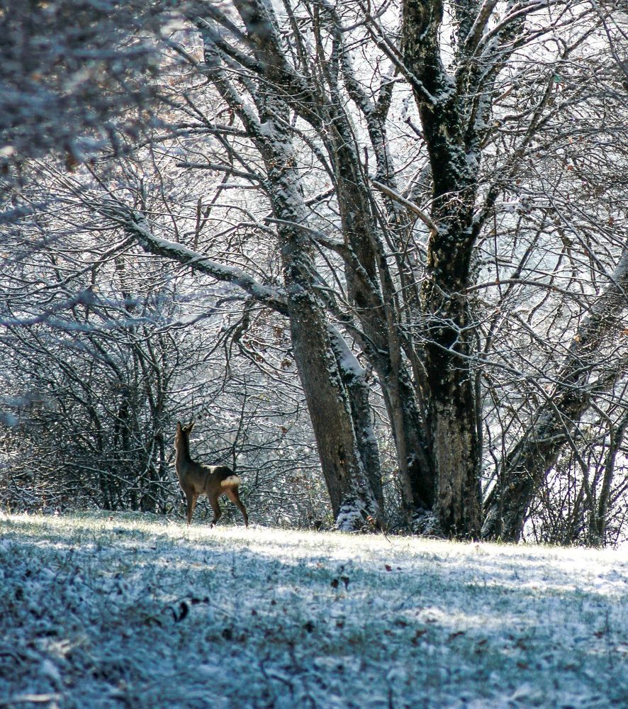Photograph by Оксана Хабарова