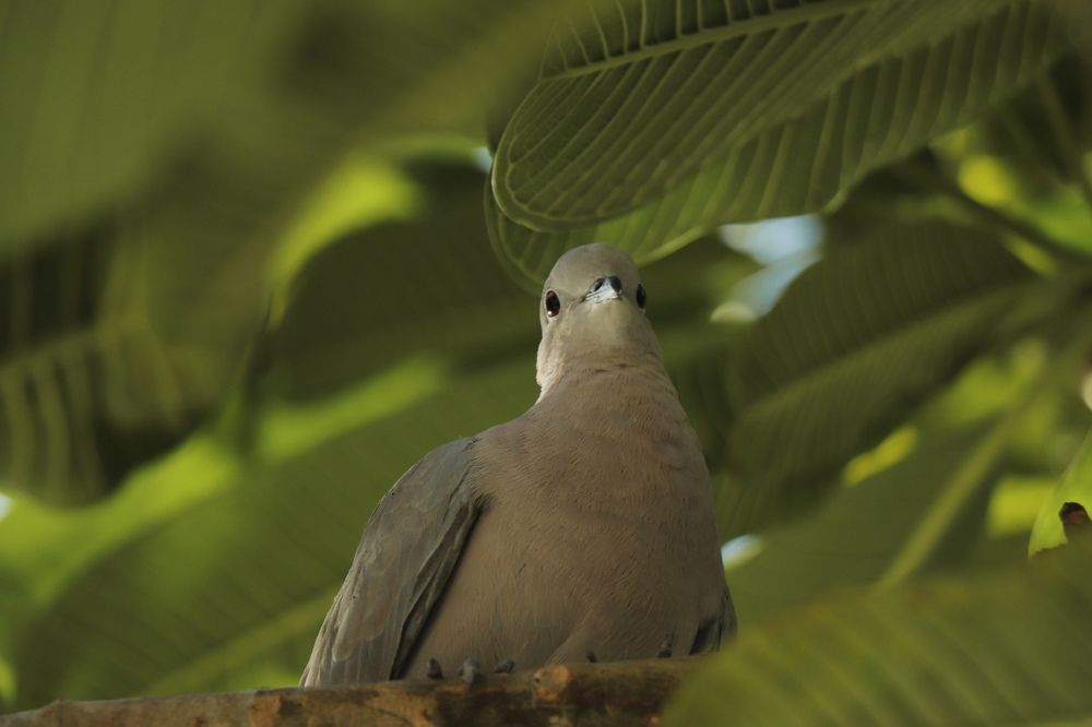 Photograph by Данис Вафин