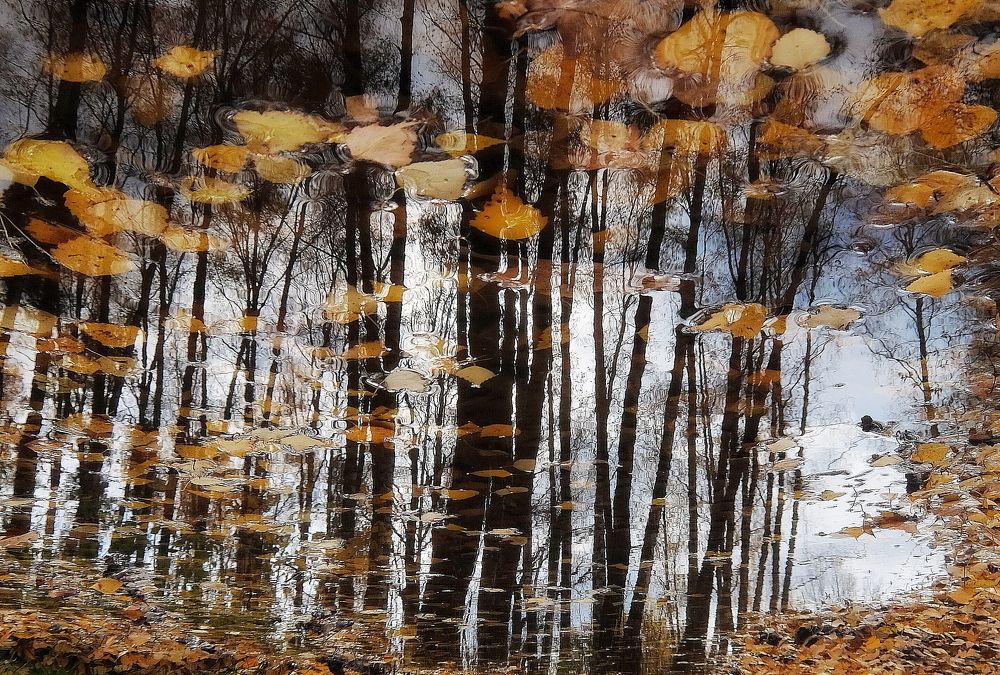 Photograph by Любовь Реутова