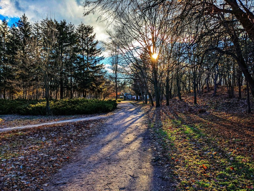 Photograph by Lavlad L