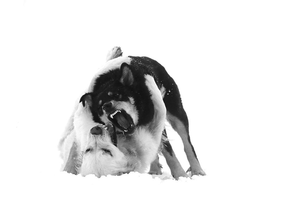 Photograph by Светлана Богомолова