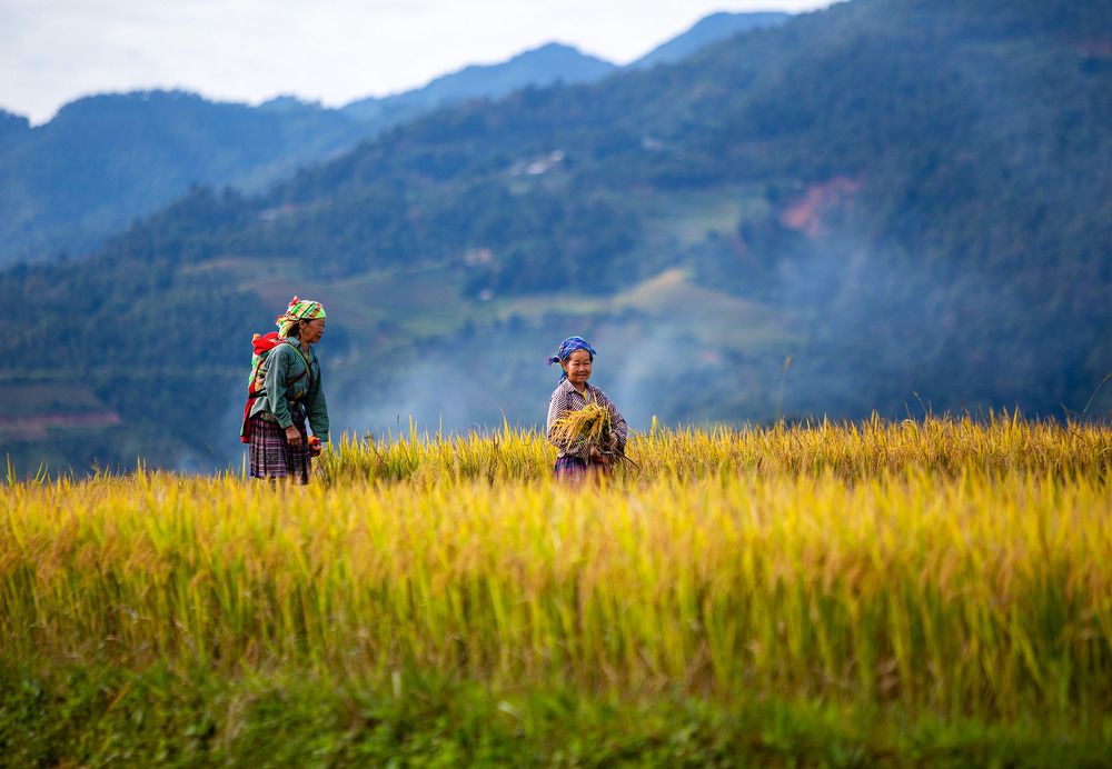 Photograph by Lien lai