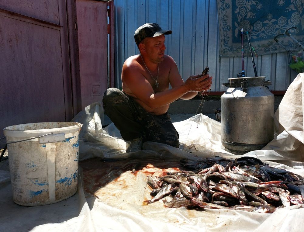 Photograph by Светлана Шиляева