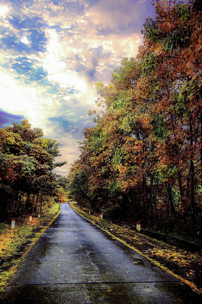 Photograph by PHƯƠNG NGUYỄN THÀNH