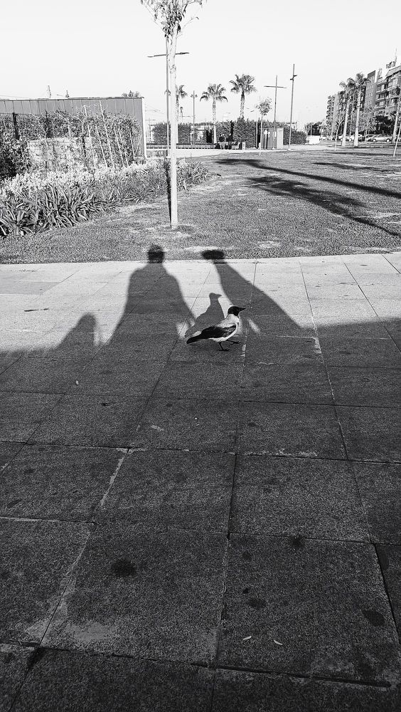 Photograph by Ирина Эрон