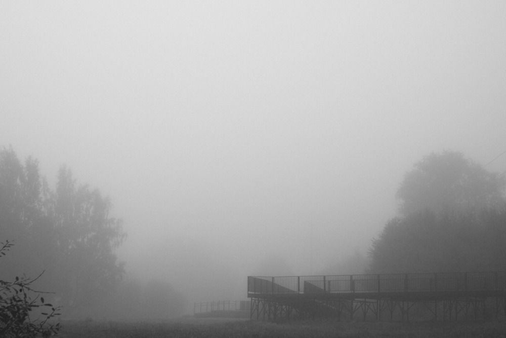 Фотография автора Никита становов