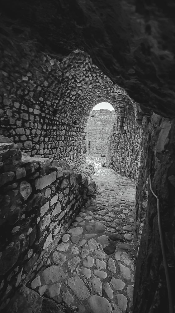 Photograph by Ahmad Alhaj Ebraheem