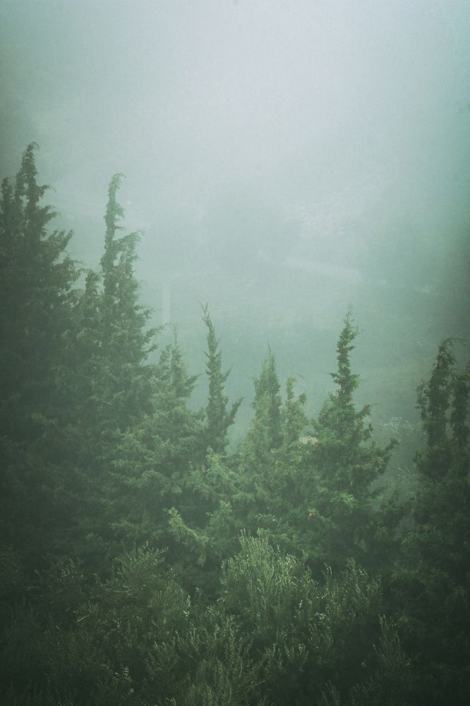 Photograph by Ahmad Alhaj Ebraheem