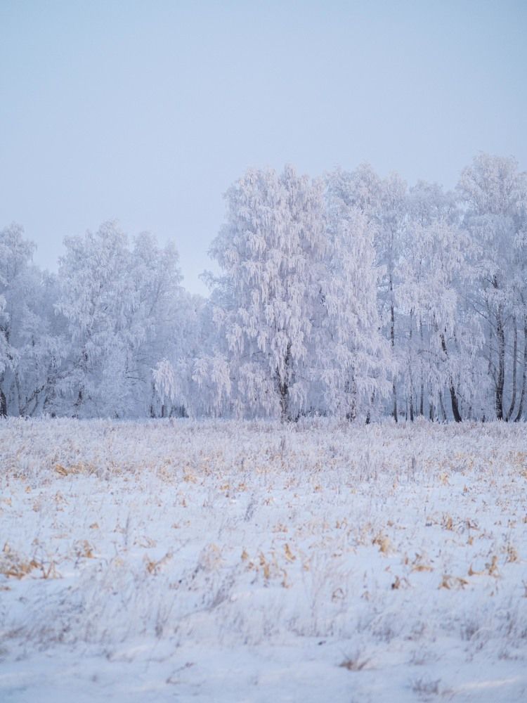 Photograph by Доляна Ашкова