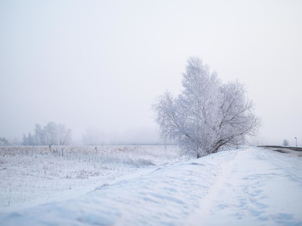 Photograph by Доляна Ашкова