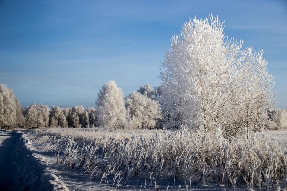 Photograph by Доляна Ашкова