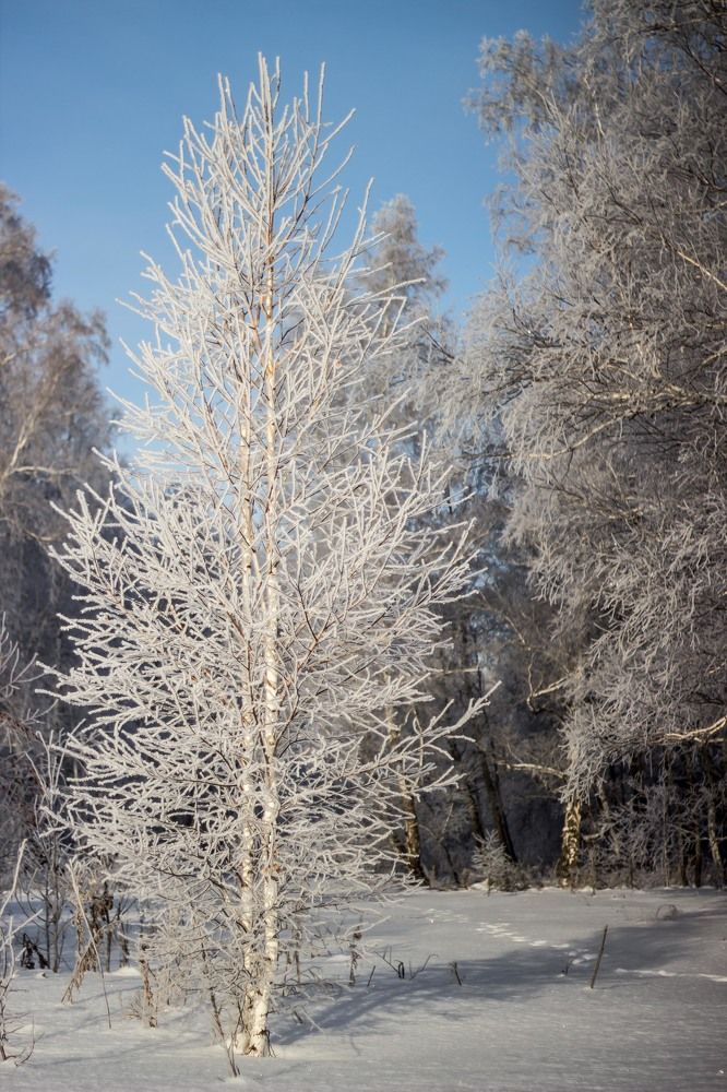 Photograph by Доляна Ашкова