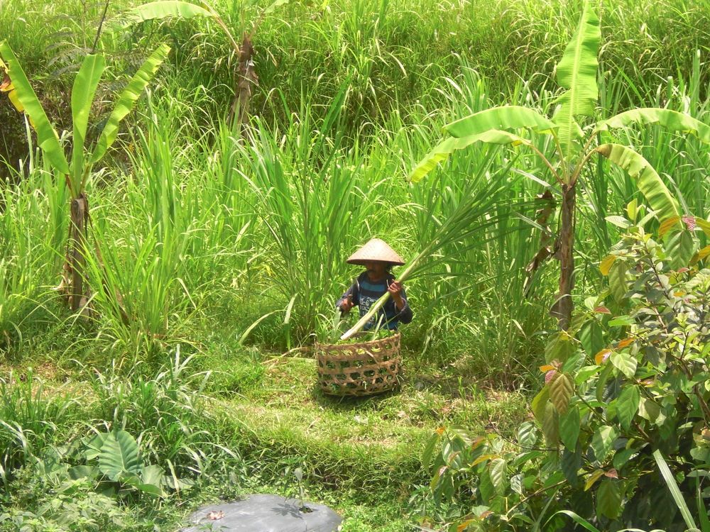 Photograph by Ирина Корнева