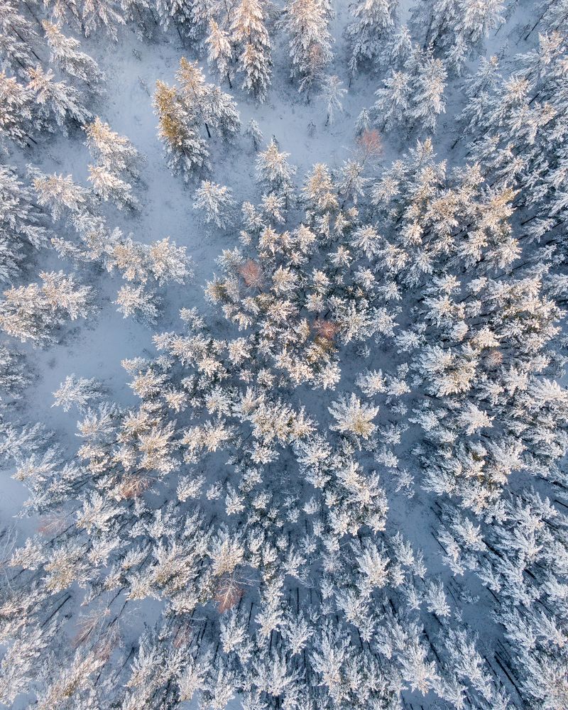 Photograph by Nikolai Mordan